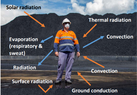 Figure 2 Heat factors impacting a worker.