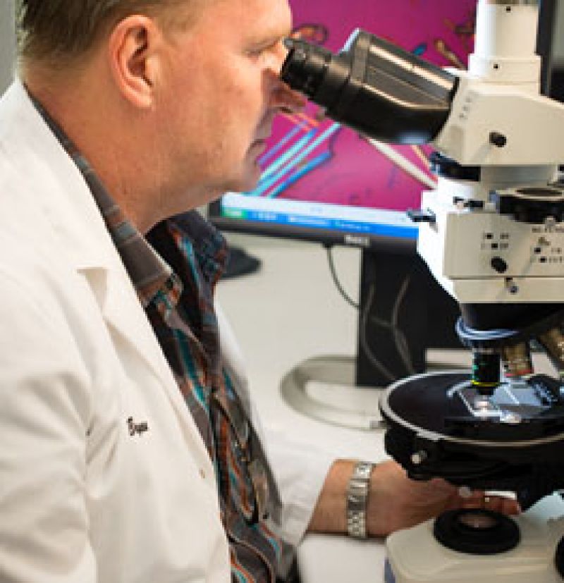 Image of lab worker using microscope